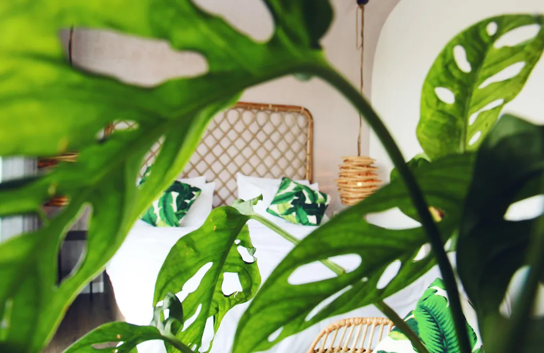 Green River Boutique Home-1